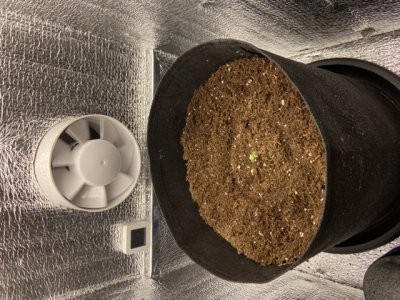 19D93B77-DDBE-44D9-80F0-F8624D861FA8.jpeg 19D93B77-DDBE-44D9-80F0-F8624D861FA8.jpeg