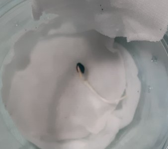 20220501_145551.jpg 20220501_145551.jpg