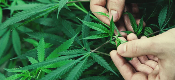 1651513183474.png 1651513183474.png