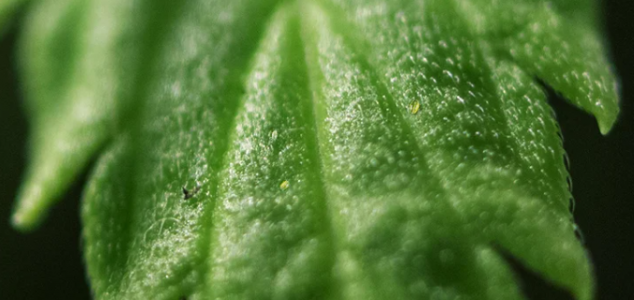 1651772100751.png 1651772100751.png