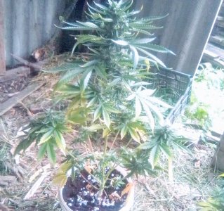 IMG_20220506_122804~3.jpg IMG_20220506_122804~3.jpg