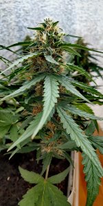 P50817-095120 (1)(1).jpg