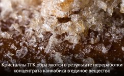 kak-proizvodyatsya-kristally-tgk__XmFj2Rqi7UlKZh23.jpg kak-proizvodyatsya-kristally-tgk__XmFj2Rqi7UlKZh23.jpg