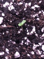 13.06.25 — копия.jpg