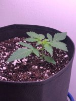 25.06.25 — копия.jpg