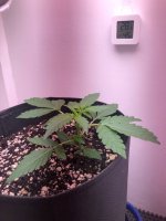 27.06.25 — копия.jpg