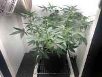 15.07.25 — копия.jpg