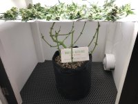 10.08.25 ГРОВ (5).jpg