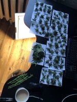 10.08.25 ГРОВ.jpg