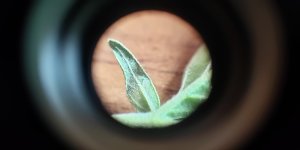 P50819-170341 (1).jpg