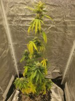 photo_2025-08-19_21-17-04 (3).jpg