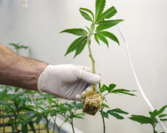 1755769313735.png 1755769313735.png