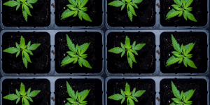 1755769573996.png 1755769573996.png