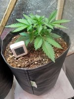 Изображение WhatsApp 2025-08-25 в 18.33.45_c8cd2775.jpg