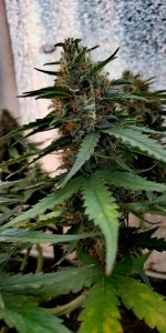 P50826-165911 (1)(1).jpg