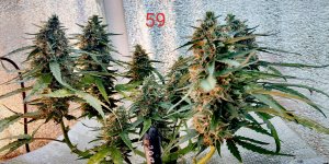 P50828-174745 (1)(1).jpg