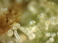 Photo_2025-08-29 08_43_27_806.png