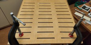 P50830-220507 (1).jpg P50830-220507 (1).jpg