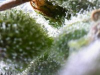 Photo_2025-09-02 17_38_30_663.JPG