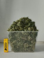 1000303526.jpg 1000303526.jpg