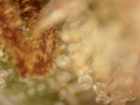 Photo_2025-09-05 06_32_12_919.png