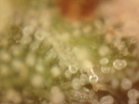 Photo_2025-09-05 06_32_20_160.png