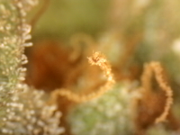 Photo_2025-09-05 06_34_54_862.png