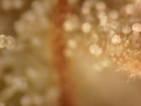 Photo_2025-09-05 06_33_55_455.png