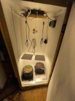 IMG_0463.jpeg IMG_0463.jpeg