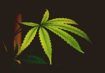 1757260418429.png 1757260418429.png