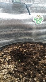 WhatsApp Image 2025-09-09 at 19.09.56.jpeg