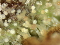 Photo_2025-09-10 06_37_09_878.png