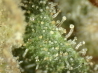 Photo_2025-09-10 06_40_51_012.png