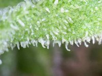 Photo_2025-09-10 18_29_54_530.JPG