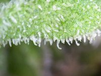 Photo_2025-09-10 18_29_52_458.JPG