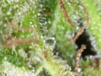 Photo_2025-09-10 19_21_41_568.JPG