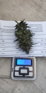 P50913-080756 (1).jpg