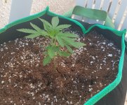 qwdqwd.jpg qwdqwd.jpg