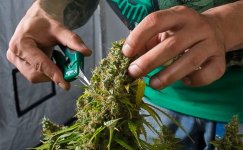 budte-akkuratny-pri-sbore-urozhaya__kZfnnPozMUPrY67s.jpg budte-akkuratny-pri-sbore-urozhaya__kZfnnPozMUPrY67s.jpg