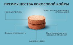 Preimushchestva-kokosovoj-kojry__cNfr8dkzMocJNttK.jpg Preimushchestva-kokosovoj-kojry__cNfr8dkzMocJNttK.jpg