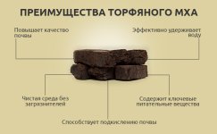 Preimushchestva-torfyanogo-mha__Zgq0bq1zvnWwjJXx.jpg Preimushchestva-torfyanogo-mha__Zgq0bq1zvnWwjJXx.jpg