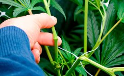 superkropping__XnNPNcaxZrAfZcnU.jpg superkropping__XnNPNcaxZrAfZcnU.jpg