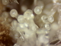 .trashed-1761189874-Photo_2025-09-20 17_20_12_402.png