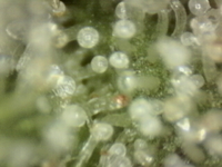 .trashed-1761189945-Photo_2025-09-20 17_13_05_321.png