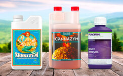 fermentnyj-rastvor-dlya-kannabisa-kupit__sfA25YoARDVrTIIY.jpg fermentnyj-rastvor-dlya-kannabisa-kupit__sfA25YoARDVrTIIY.jpg