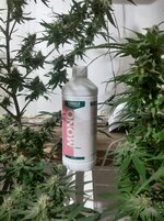 20250929_150435.jpg 20250929_150435.jpg