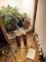 IMG_0724.jpeg IMG_0724.jpeg