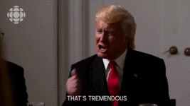 21212234.gif 21212234.gif