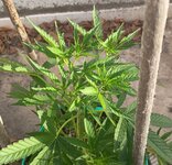 22222222.jpg 22222222.jpg