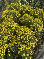 IMG_0881.jpeg IMG_0881.jpeg